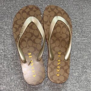 Coach Brown and Gold Sandals with Signature Monogram